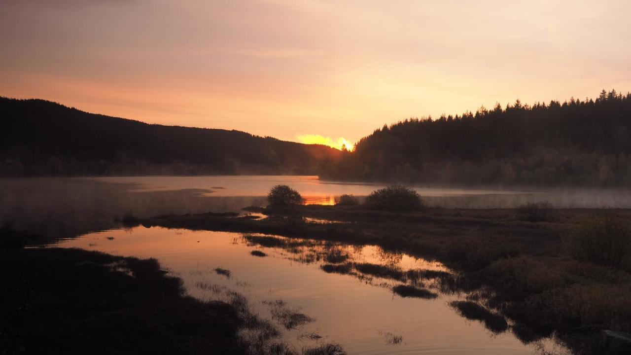 C3 Albmatte-Fewo Sauna, Hallenbad Aussenbecken Massagen Nebenan Санкт-Блазін Екстер'єр фото