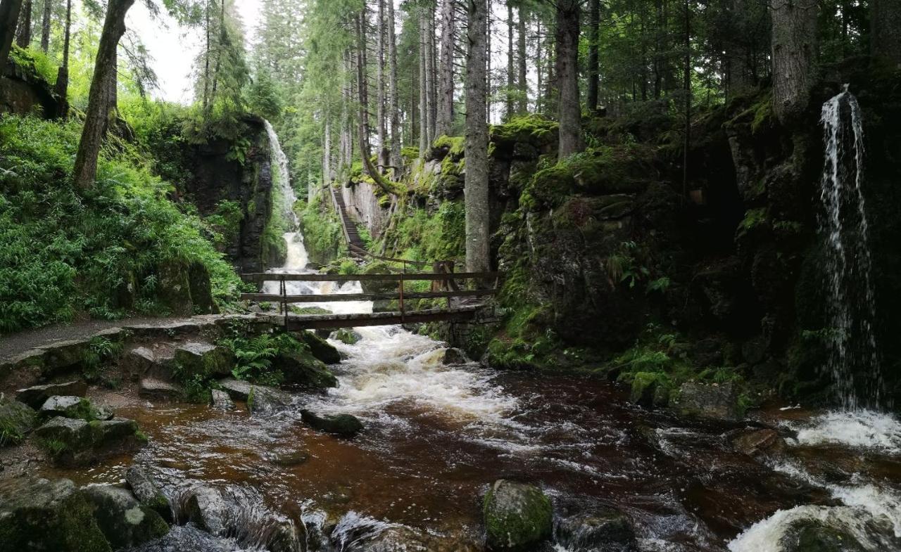 C3 Albmatte-Fewo Sauna, Hallenbad Aussenbecken Massagen Nebenan Санкт-Блазін Екстер'єр фото