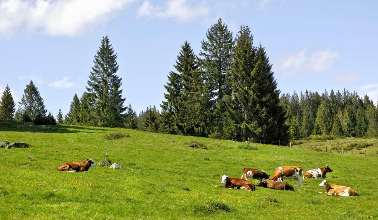 C3 Albmatte-Fewo Sauna, Hallenbad Aussenbecken Massagen Nebenan Санкт-Блазін Екстер'єр фото