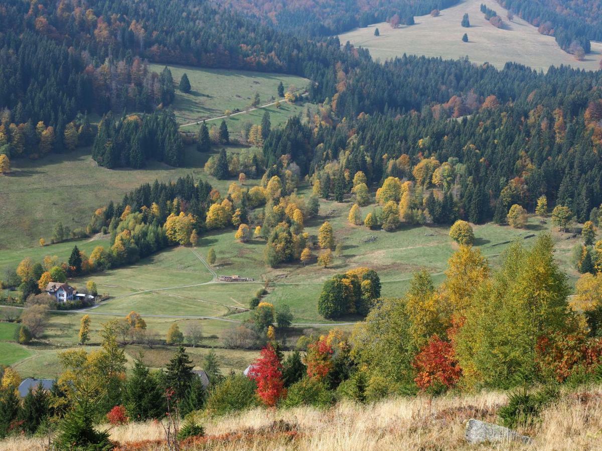C3 Albmatte-Fewo Sauna, Hallenbad Aussenbecken Massagen Nebenan Санкт-Блазін Екстер'єр фото