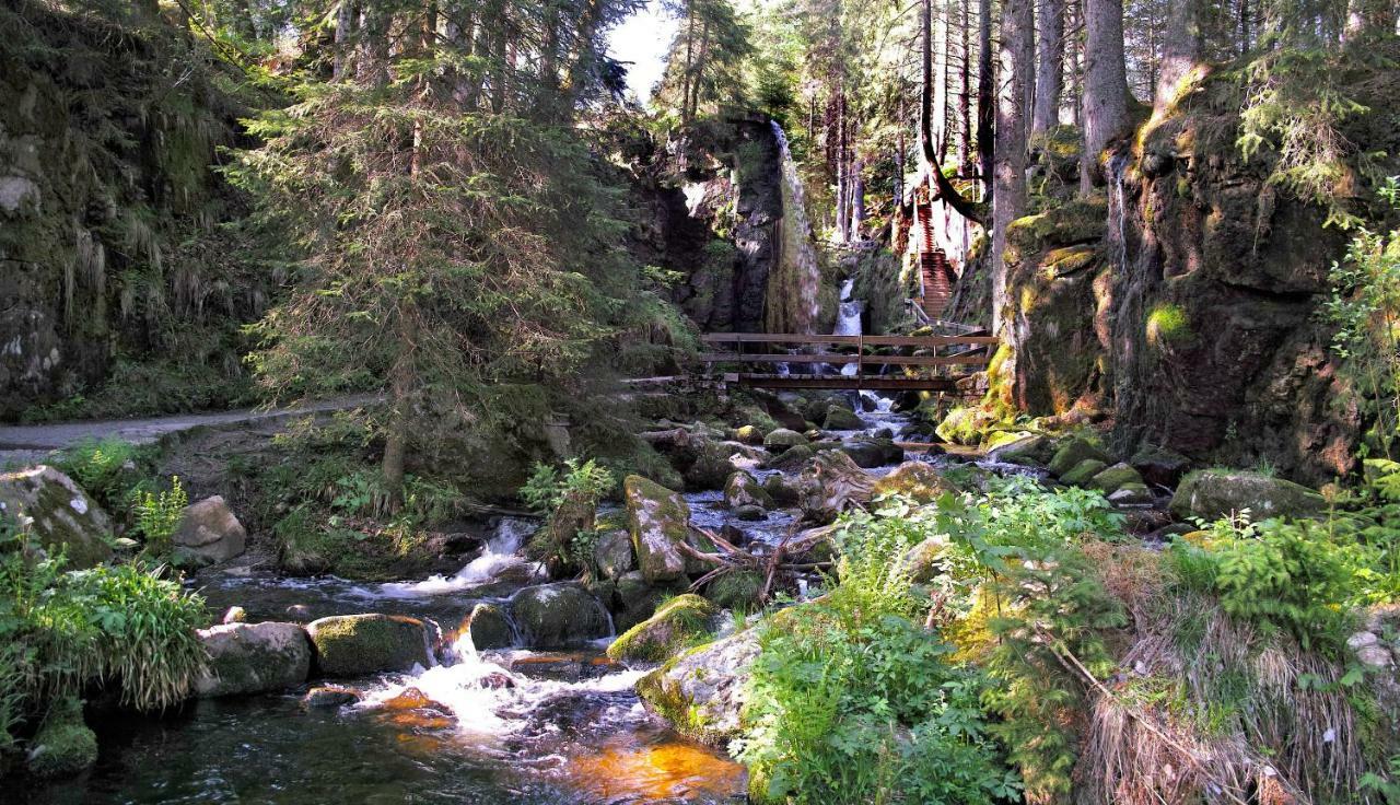 C3 Albmatte-Fewo Sauna, Hallenbad Aussenbecken Massagen Nebenan Санкт-Блазін Екстер'єр фото