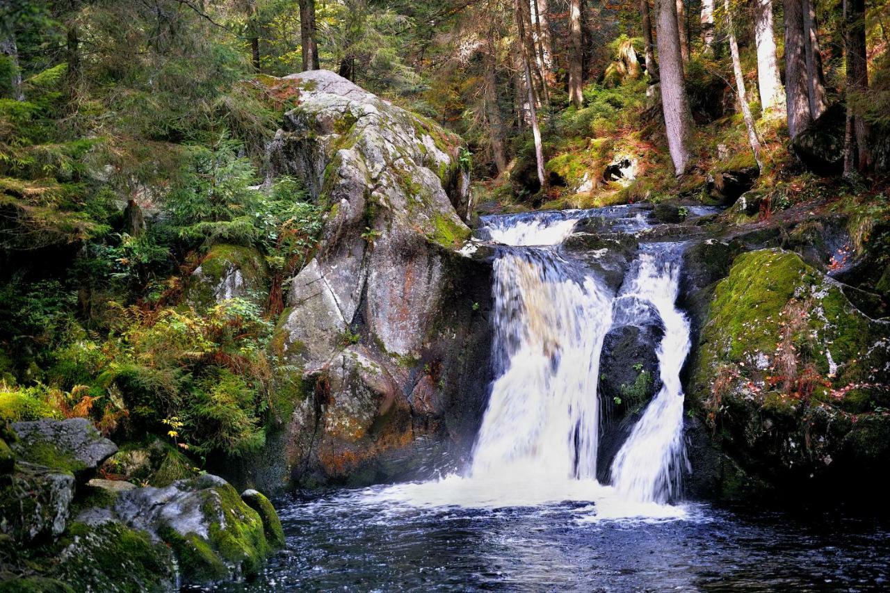 C3 Albmatte-Fewo Sauna, Hallenbad Aussenbecken Massagen Nebenan Санкт-Блазін Екстер'єр фото
