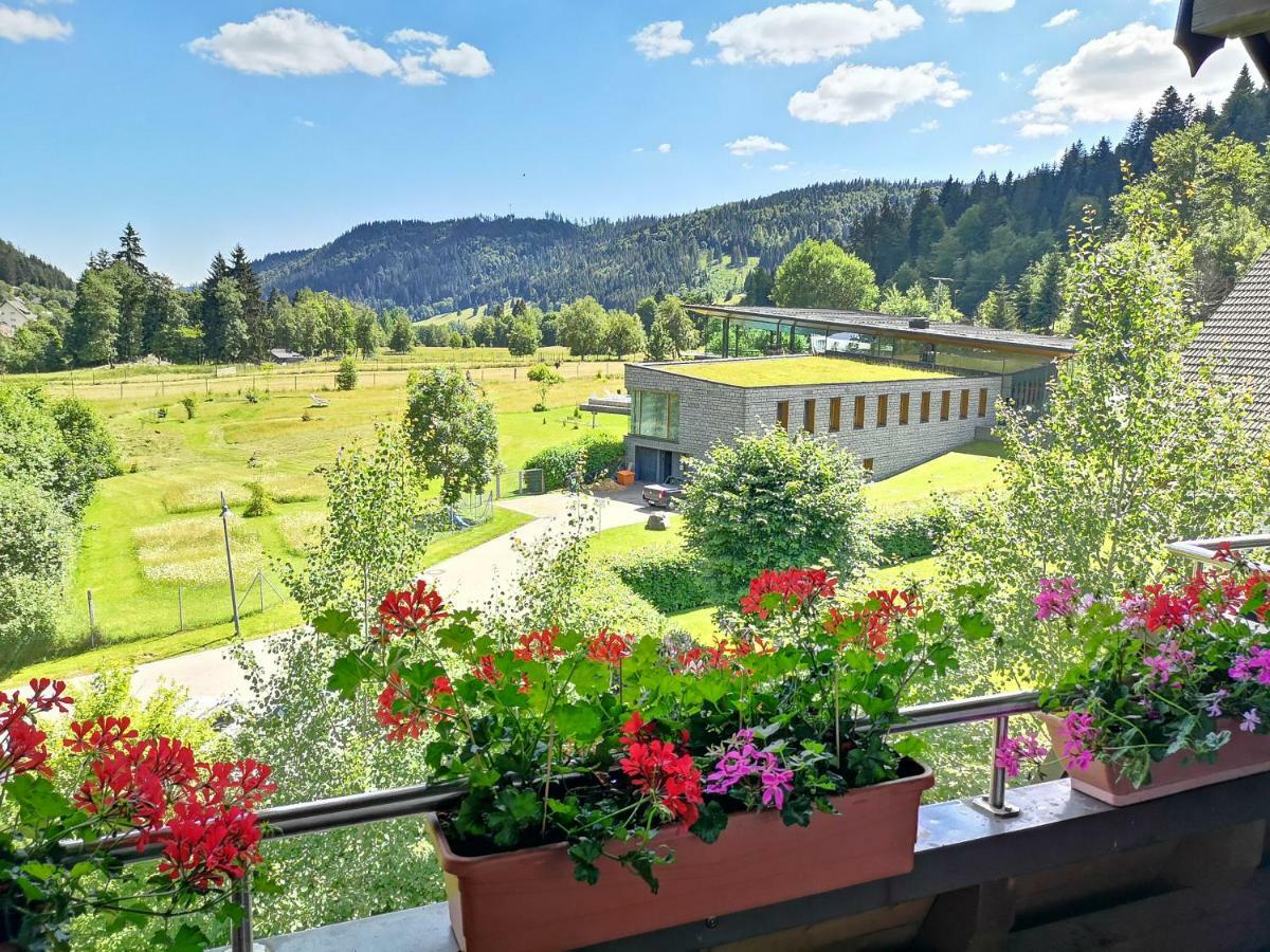 C3 Albmatte-Fewo Sauna, Hallenbad Aussenbecken Massagen Nebenan Санкт-Блазін Екстер'єр фото