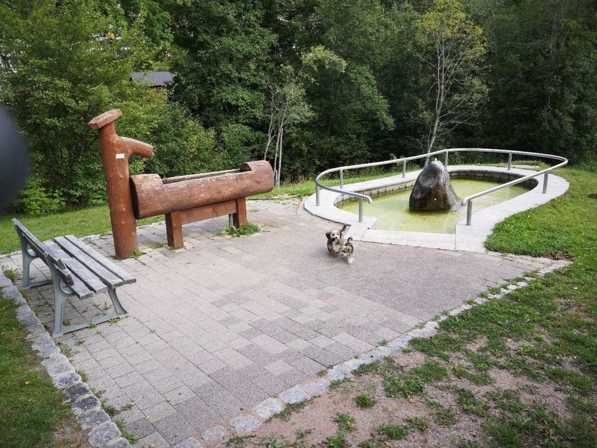 C3 Albmatte-Fewo Sauna, Hallenbad Aussenbecken Massagen Nebenan Санкт-Блазін Екстер'єр фото