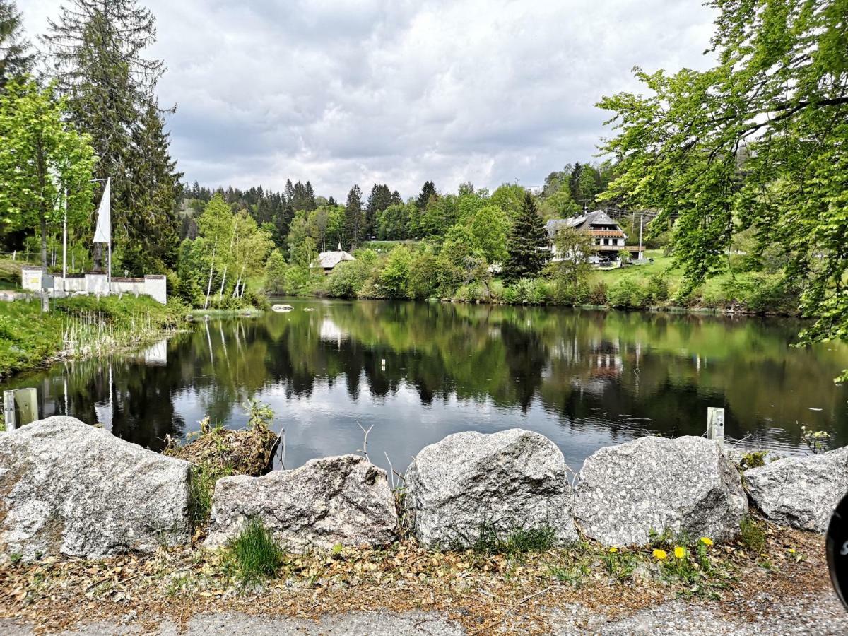 C3 Albmatte-Fewo Sauna, Hallenbad Aussenbecken Massagen Nebenan Санкт-Блазін Екстер'єр фото